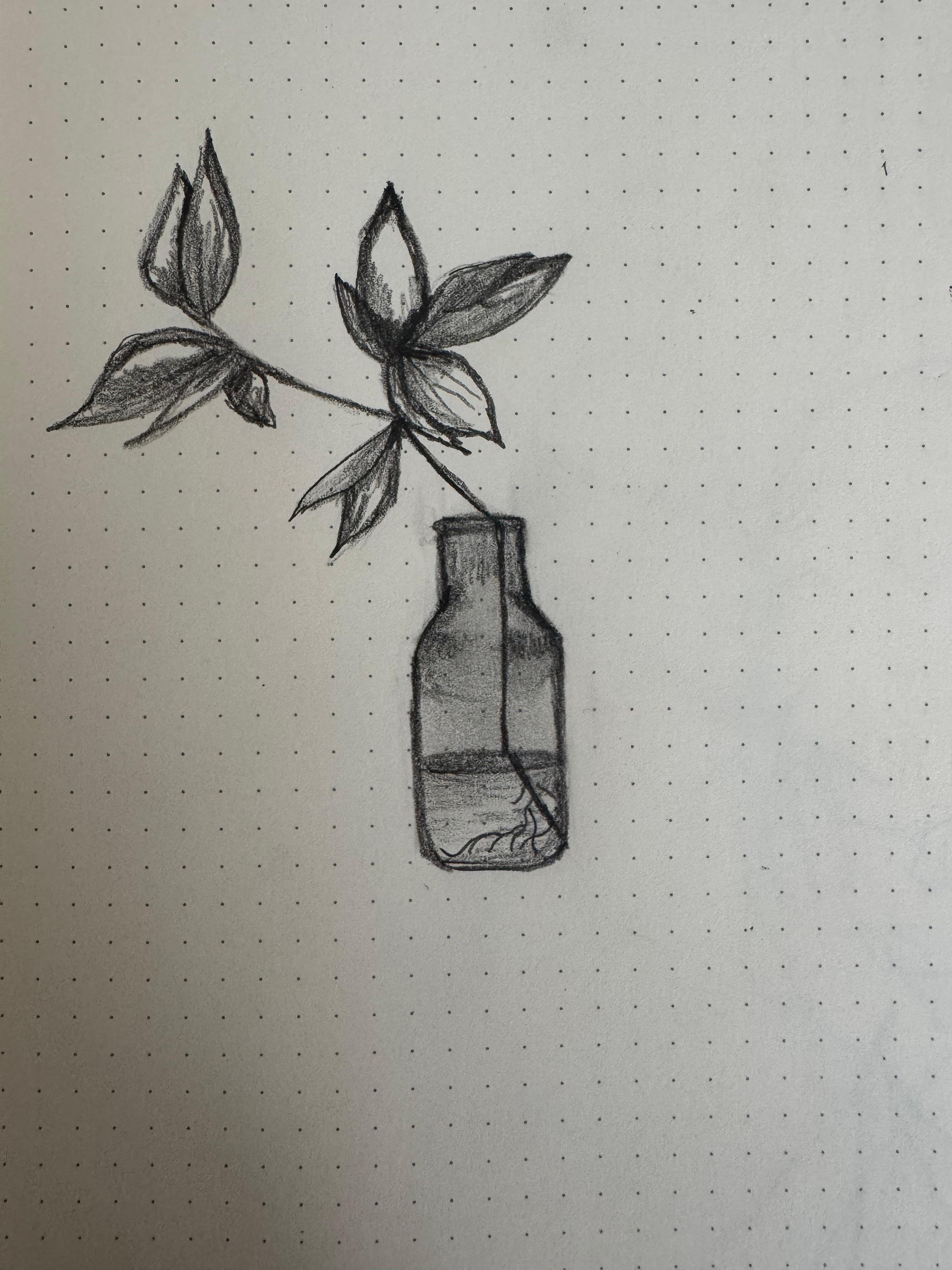 Botanical sketch